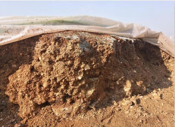 “廢料”變“肥料”，蘑菇包在土壤改良中的應用