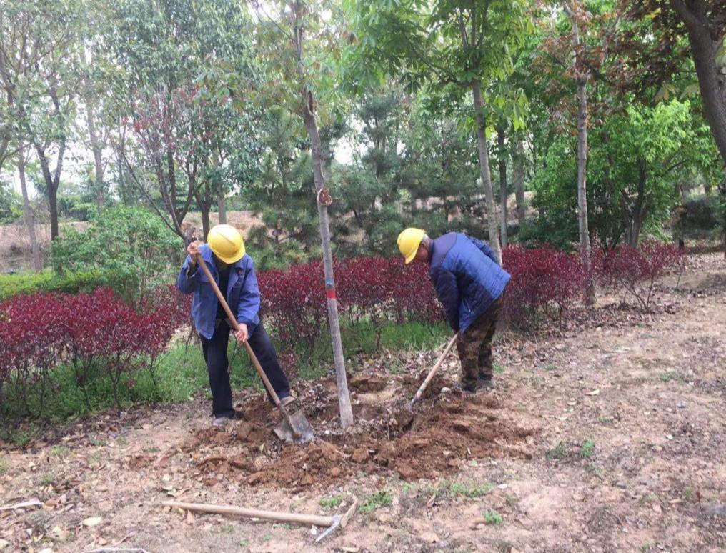 陜煤建設綠宇公司：口碑無止境  用心筑未來