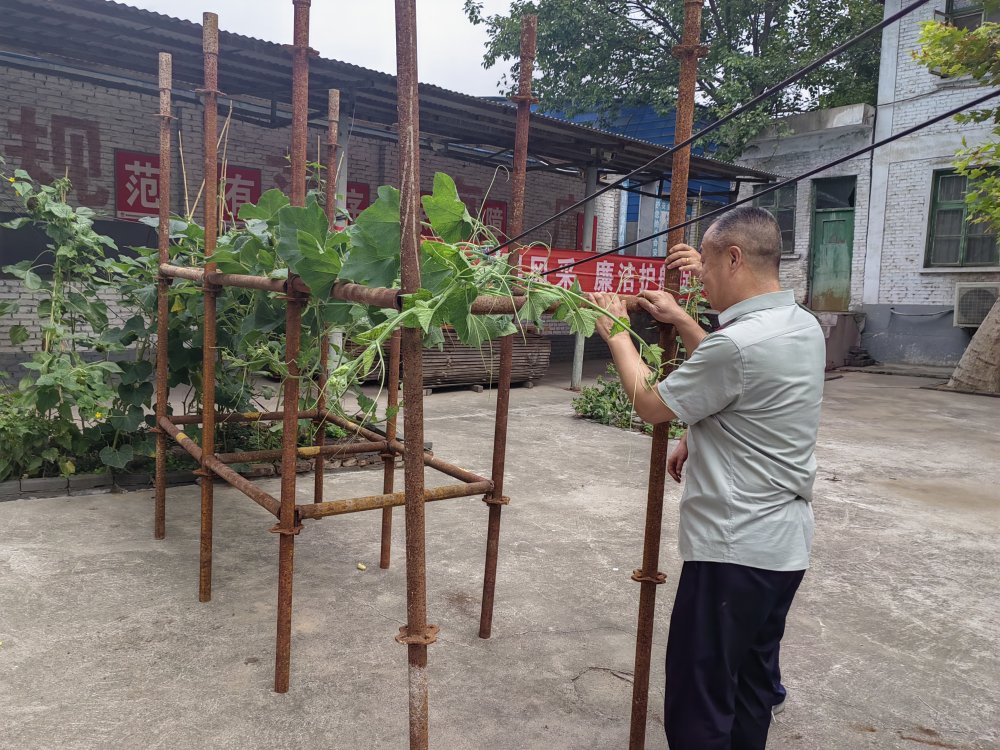 平凡堅守，織就的那些暖心緣