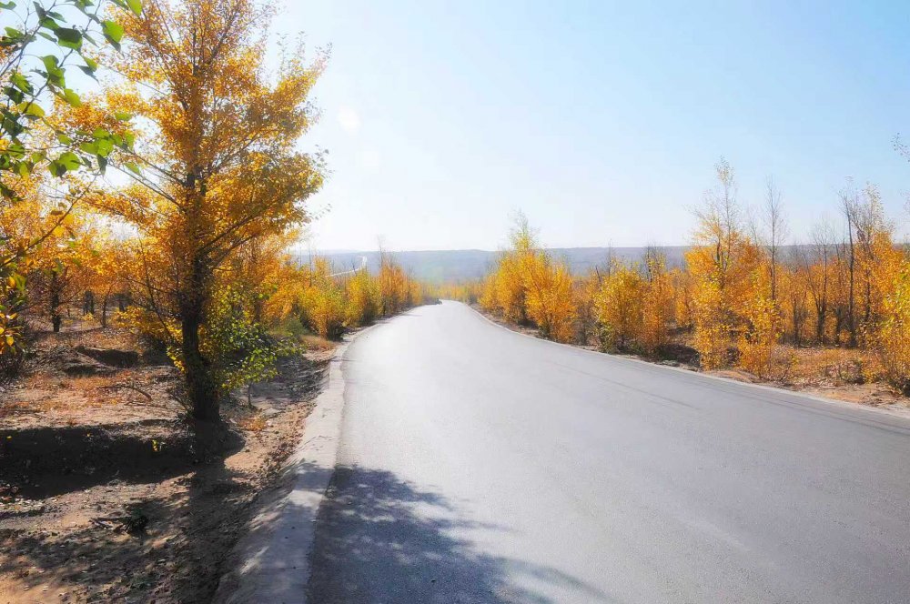 黃土鑄風骨  秋風唱大歌