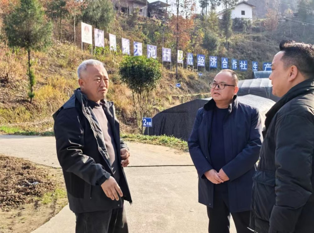 陜煤建設定點幫扶村:專家“把脈”開良方 鄉村振興煥新顏