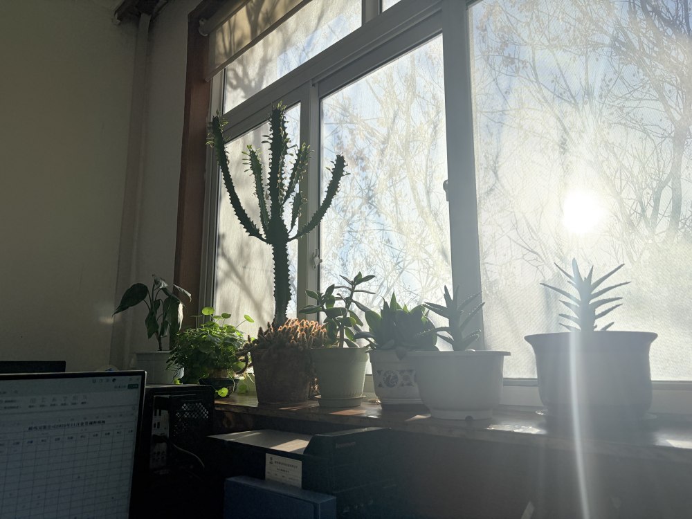 冬陽正好,步履鏗鏘