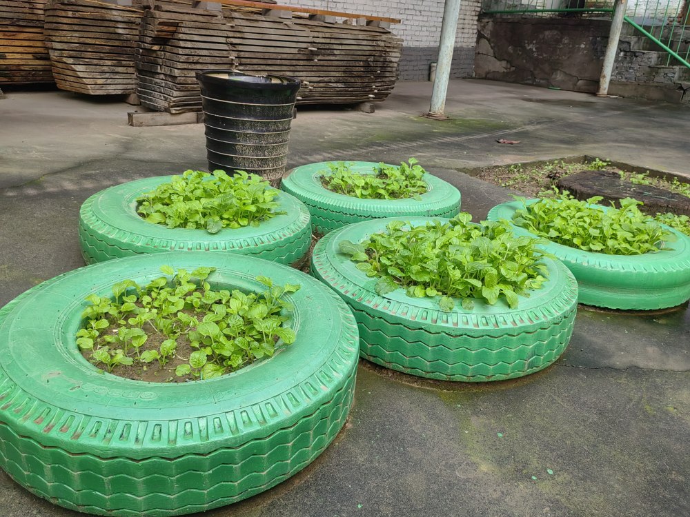 創意無休，廢舊輪胎也能C位出道