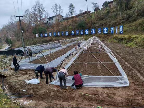 陜煤建設定點幫扶村:以“五化”實踐助力鄉村全面振興